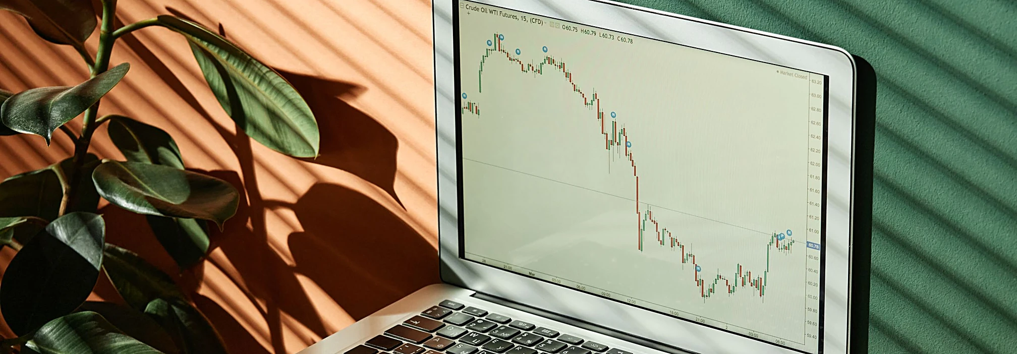 A laptop showing a live market chart in warm sunlight beside a green plant